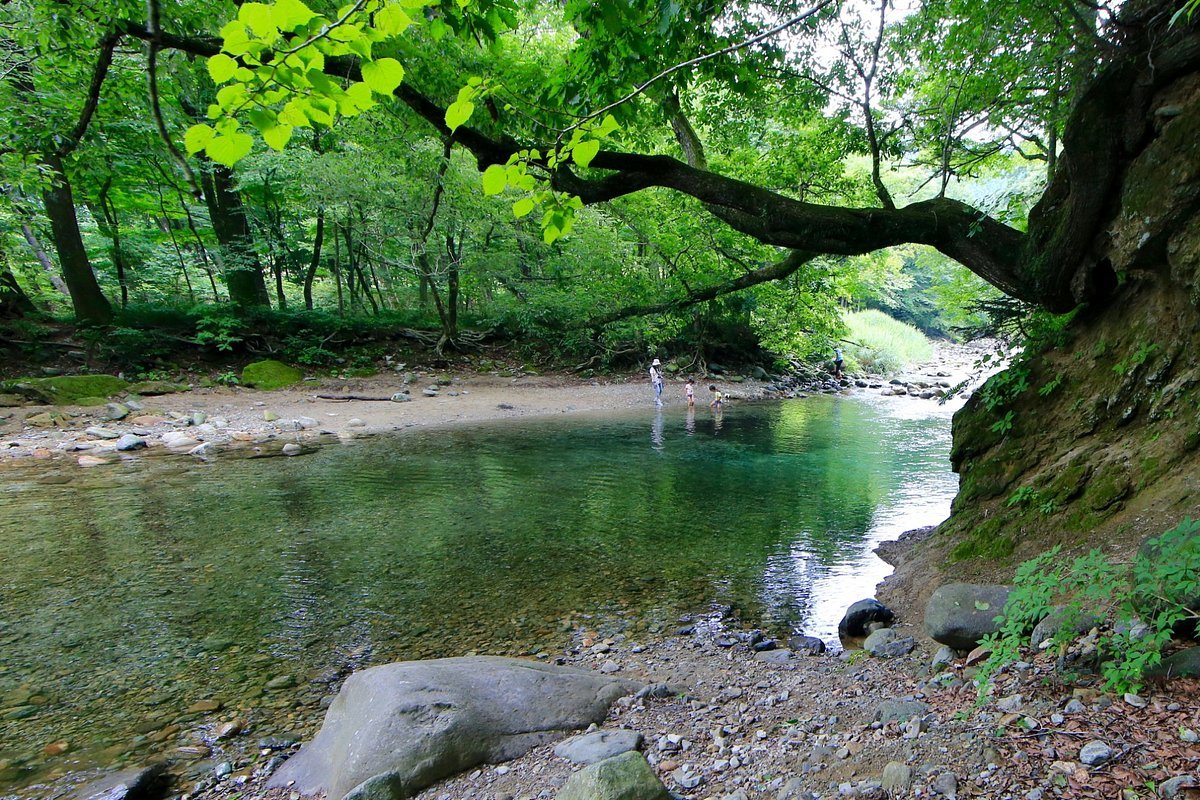 🏞️ 키노마타 계곡과 키노마타 원지(키노마타케이코쿠토키노마타엔치) 이미지 3